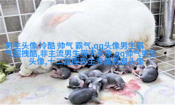 简单大方阳光温暖的男生头像(精选20张)