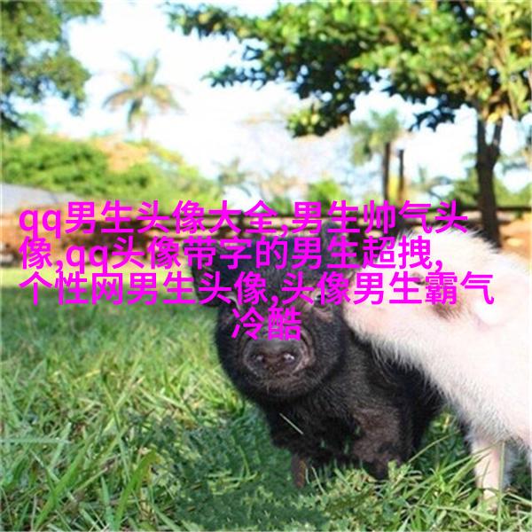 男人最招财的微信头像(共22张)