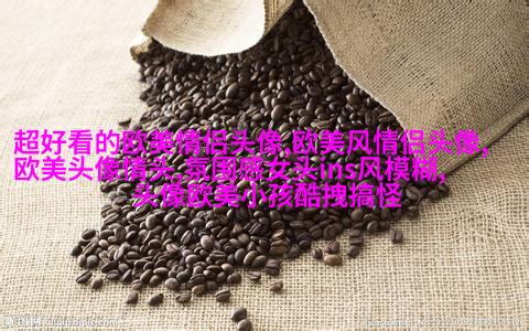 惊艳的欧美头像(精选12张)