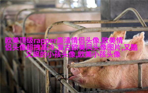 2023最火欧美情侣头像(24张)