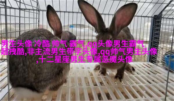 简单大方阳光温暖的男生头像(精选20张)