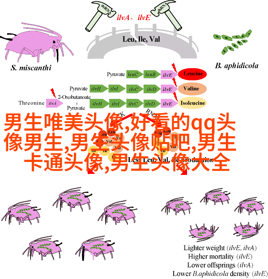 男生炫酷高颜值动漫头像(精选22张)