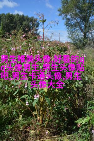 男生炫酷高颜值动漫头像(精选22张)