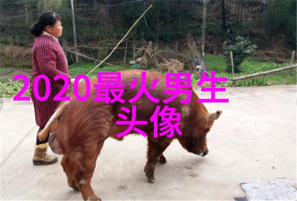 颜值爆表的头像男生(优选20张)