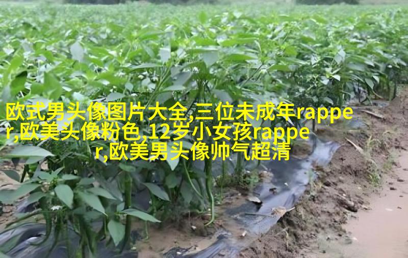 欧美黑白女生头像