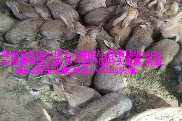 欧美小女孩头像小清新_无敌萌萌哒