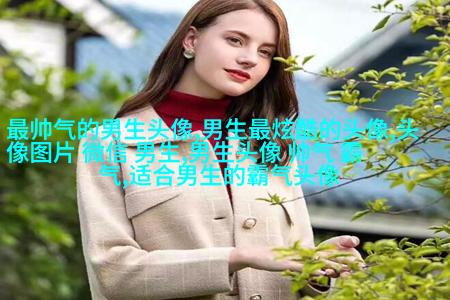 帅气欧美男生qq个性头像图片(22张)