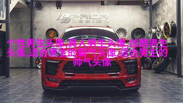 帅气超拽的男生qq头像图片(18张)