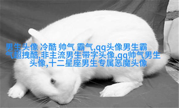简单大方阳光温暖的男生头像(精选20张)