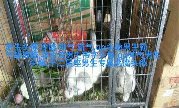 简单大方阳光温暖的男生头像(精选20张)