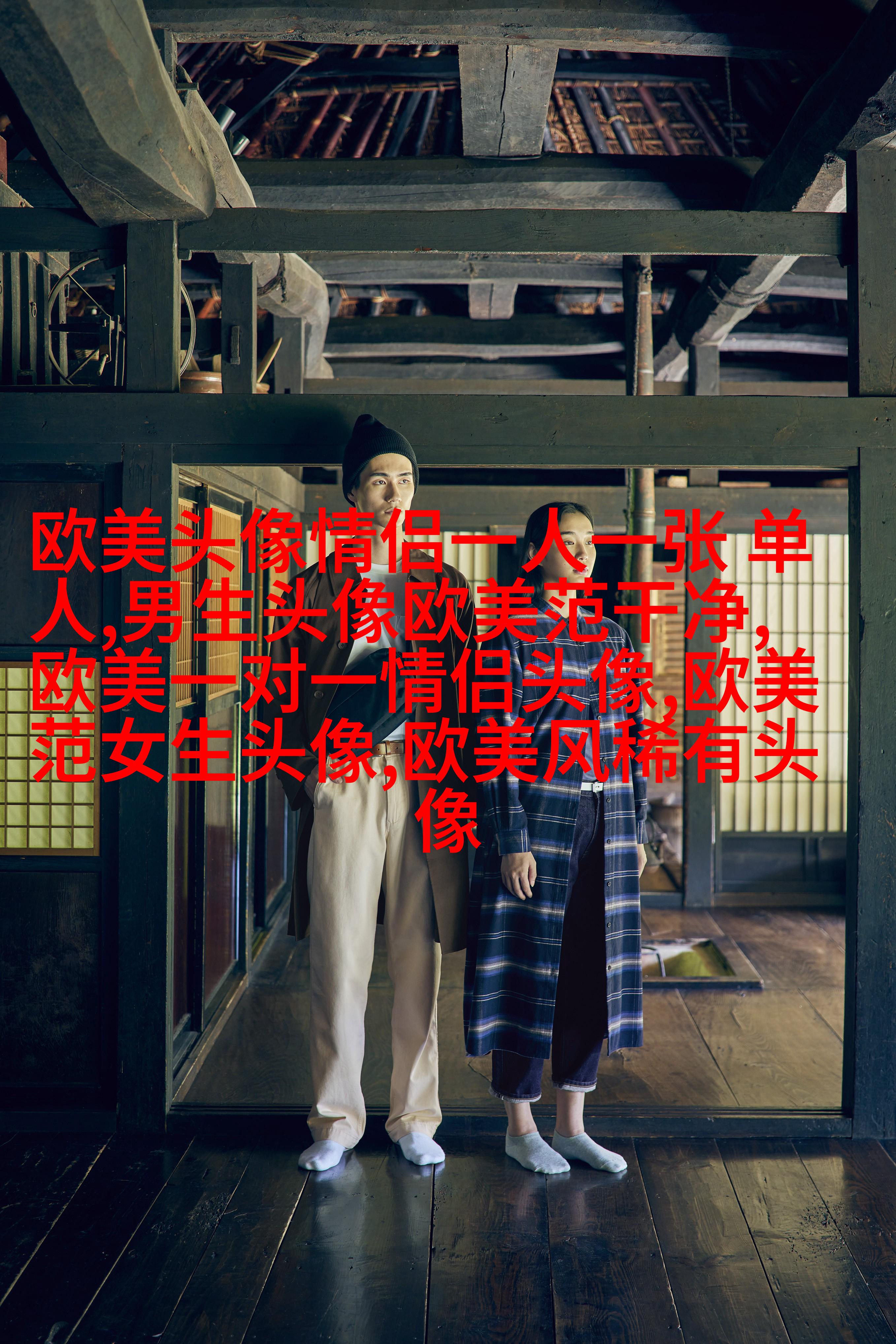 欧美风简约个性头像(18张)