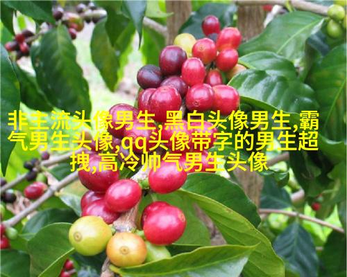 温柔阳光帅气的漫画男生头像图片(共28张)