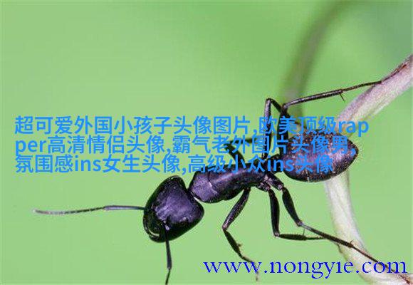 欧美小女孩头像小清新_无敌萌萌哒