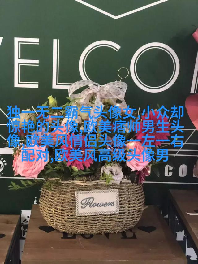2017最火最有气质的欧美头像