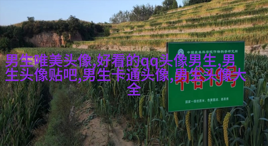 男生炫酷高颜值动漫头像(精选22张)