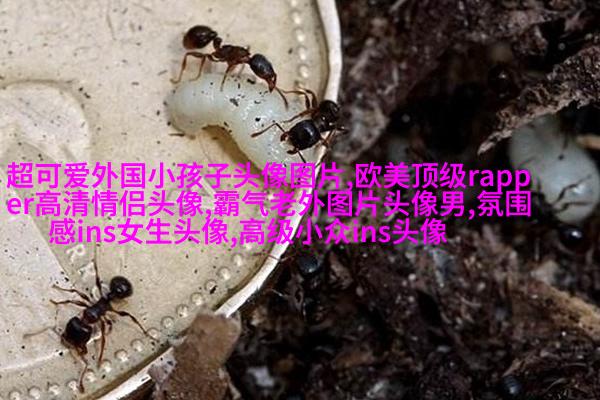 欧美小女孩头像小清新_无敌萌萌哒